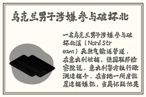 国产综合色成年a欧美